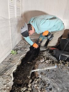 Plumbing in Romulus, Michigan