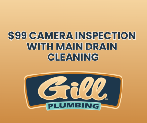 $99 Camera Inspection